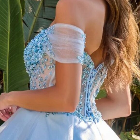 New Off Shoulder Short Fashion Forward Mesh Dress w/ Sheer Boned Bodice GS3684 - Picture 8 of 9